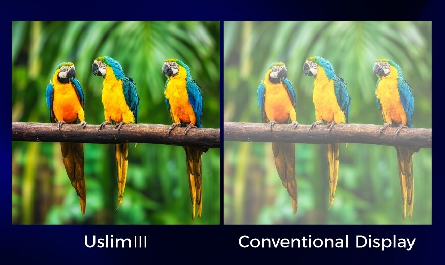 Expertise Wave img Placholder